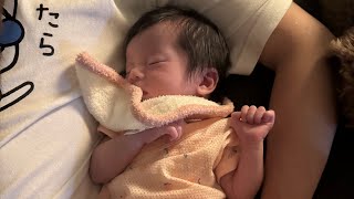 NOBURIN  ASMR🥱 がライブ配信中！