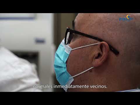 Video: Avances En El Tratamiento Del Cáncer Veterinario Por Ensayo