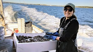 Natural Mortality of Oysters with Kathryn Doering