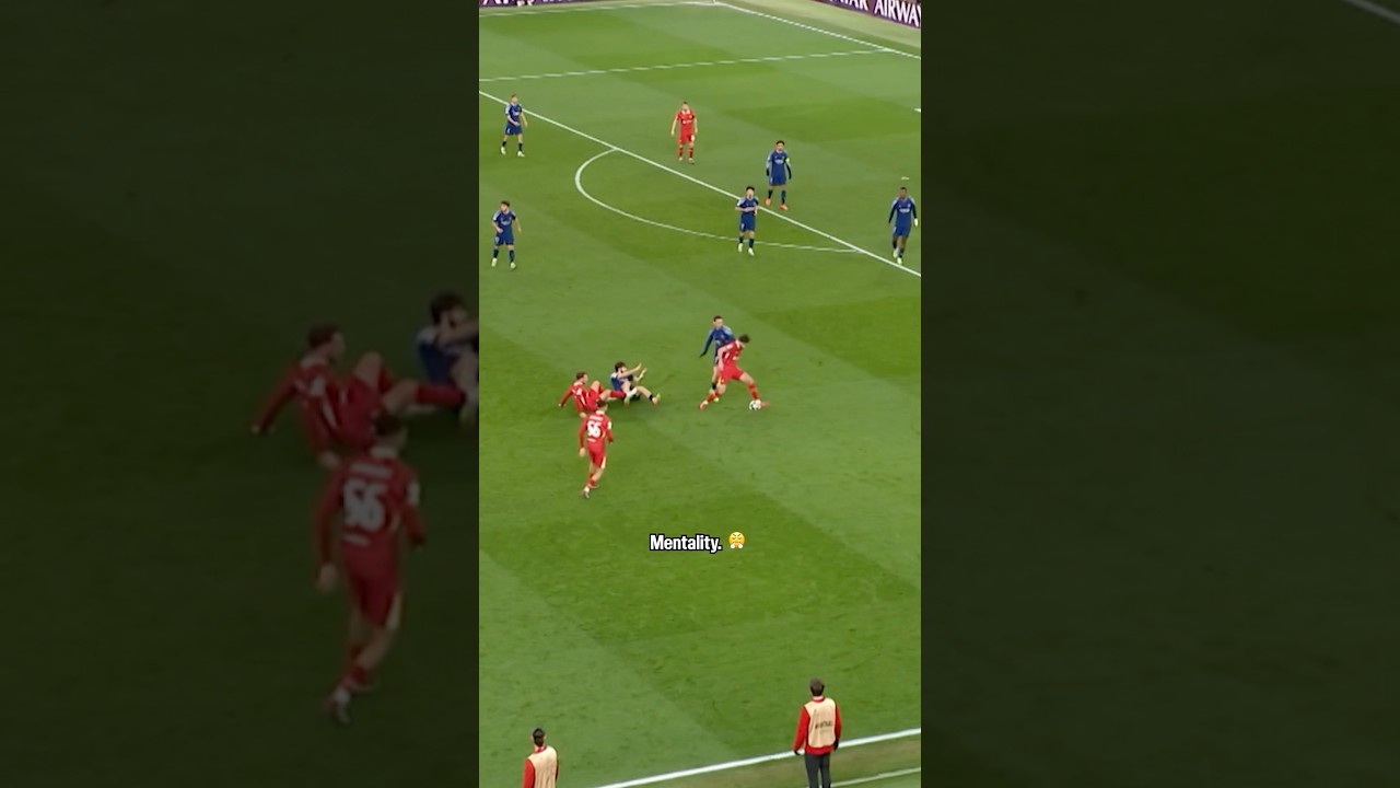 Ready to fight! ⚔️😤