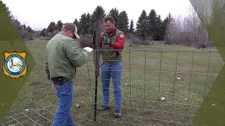 Building a Bear Fence
