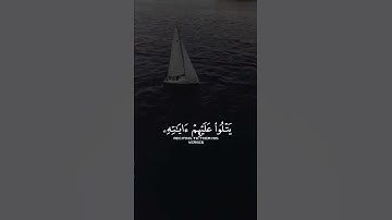 {لقد من الله على المؤمنين...} تلاوة جميلة والله 🥺❤️