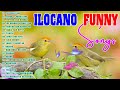 Toy Billit Ko, Sirok Ti Pandilling - Ilocano Funny and Comedy Song😆Most Requested Funny Ilocano Song Mp3 Song