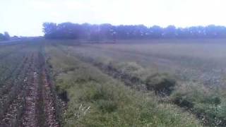 Swathing Winter Canola with Combines near Kingfisher, OK 5-16-11