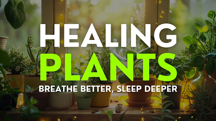 10 Indoor Plants for Healing and Wellness: Transform Your Health!