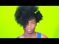 WATCH MY NATURAL HAIR REVERT: FRO TO CURLS