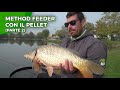 Method Feeder con il Pellet, parte 2