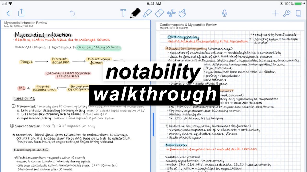 best note taking app for college students mac