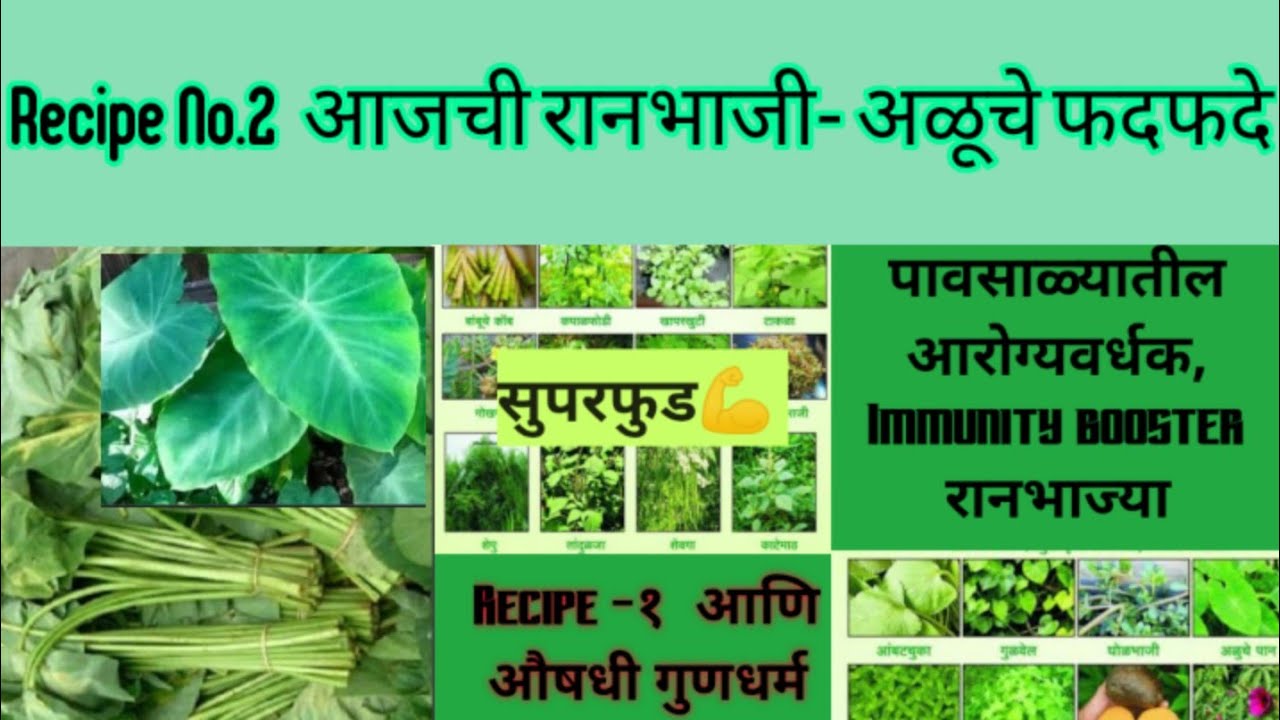 भाग-2 | अळूचे फदफदे/अळूची भाजी | कोकणातील आरोग्यवर्धक रानभाज्या | माहिती, औषधी गुणधर्म आणि Recipe