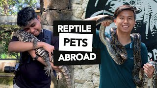 Handling COBRAS & Hugging TEGUS | Our Experiences Overseas