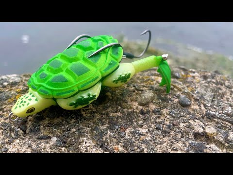 Pike Fishing with a Topwater Turtle! Lunkerhunt prop turtle 