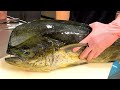 Monster Dolphin Fish鬼頭刀(  MAHI MAHI FISH)   - Taiwanese Street Food