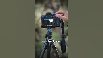 Turn this camera setting on for perfect exposures!