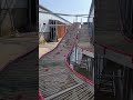 Automatic Egg Collection Outdoor Layer Chicken Farm #birds #cage #manufacturing #poultryfarming