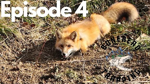 Trapping Furbearers In SW PA 22/23 Ep.04 S.02