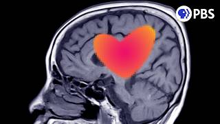 Scientists Finally Figured Out What Love Is For