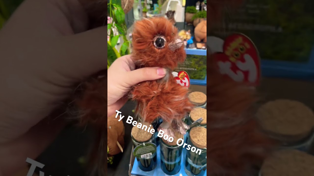 Ty Beanie Boo Orson Ostrich 