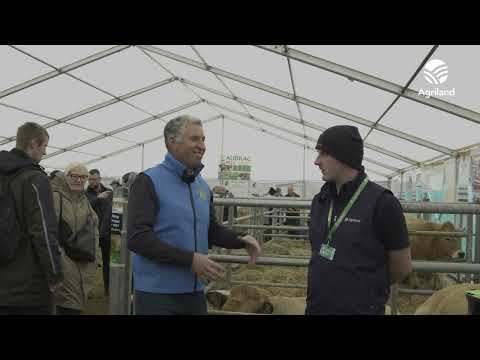 Aubrac Cattle Society on the history of the breed in Ireland #Ploughing2023