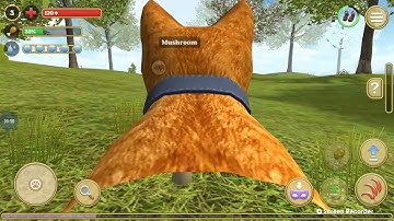 cat simulator EP 02 hunting hare - Android gameplay