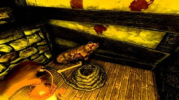 Amnesia Gameplay Custom Story - Can