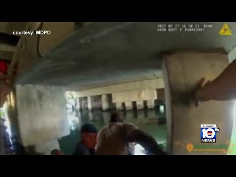 Body camera video shows officers saving toddler from submerged car