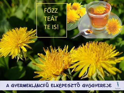 Videó: Egészségügyi Tea