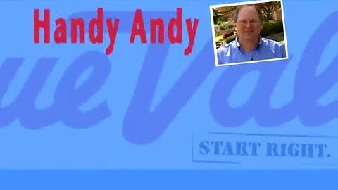 Handy Andy - Pest Control