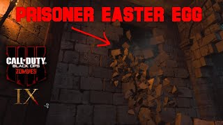 IX Prisoner Easter Egg | Call of Duty Black Ops 4 Zombies
