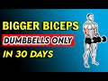 How to grow bigger biceps in 30 days dumbbells only biceps follow along workout
