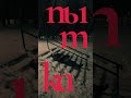 velure — когда выйдет трек?