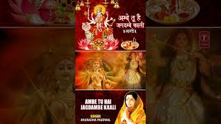 #shorts Aarti Ambe Tu Hai Jagdambe Kali With Lyrics By Anuradha Paudwal,  Aarti screenshot 2