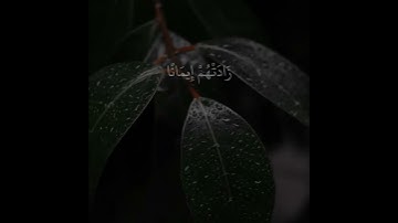 قرآن كريم / حالات واتس اب / القارئ أحمد النفيس ( إنّما المؤمنون الّذين إذا ذكر الله وجلت قلوبهم )