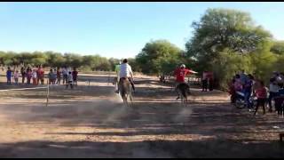 Radio Conlara Cba - Vídeo 2 Carreras de Burros La Cortadera..