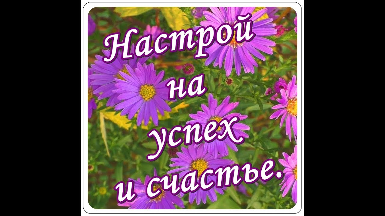 ������� �� ����� ���