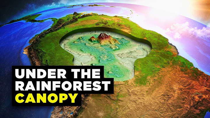 What's Hidden Under the Trees of the Amazon Rainforest? | Documentary For Sleep