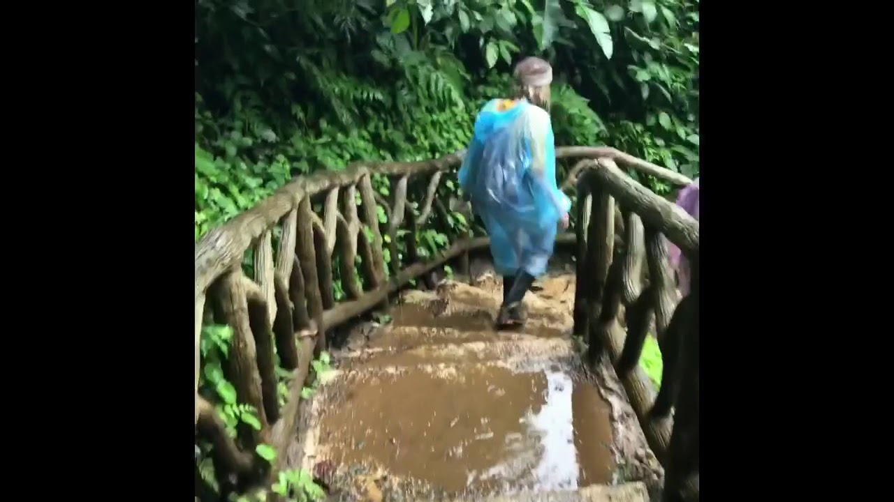 Hiking Tenorio Volcano National Park