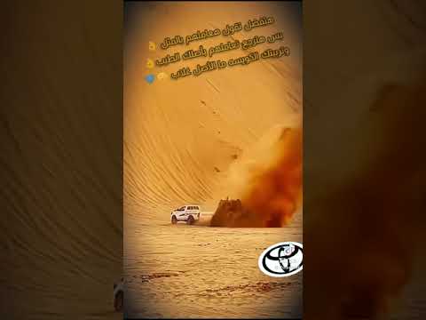 حالات واتس اشجار بفروع خشب مسلم 