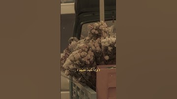 القرآن الكريم 🤍✨
