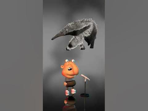 Великий мурахоїд - цікаві факти про тварин - YouTube