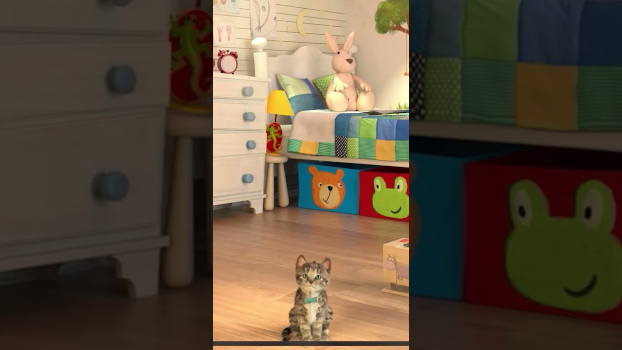 A Cute Cat Searching for a Home on a Smartphone