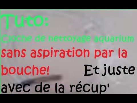 Vidéo: Comment Faire Un Siphon Pour Un Aquarium