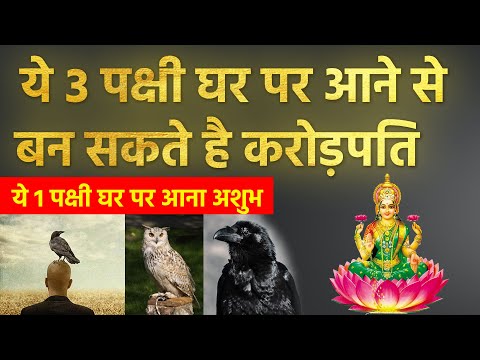 ये 3 पक्षी घर पर आने से बन सकते है करोड़पति, ले ये 1 पक्षी होता है अशुभ | Vastu tips