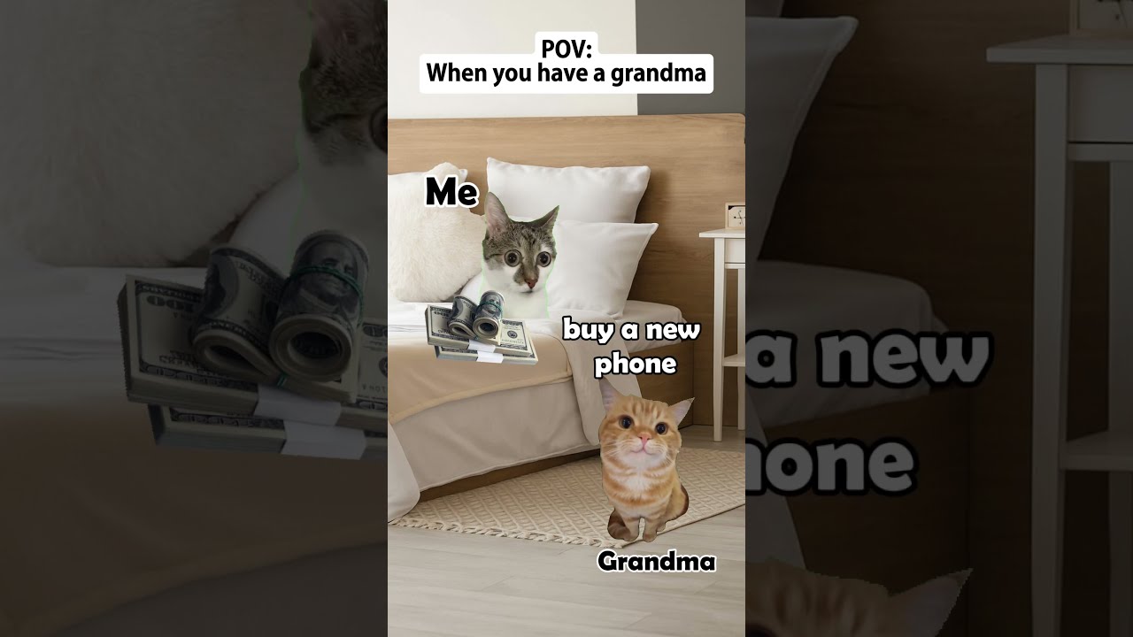 Mom Vs Grandma When You Have A Story Telling Cat Meme Meow 