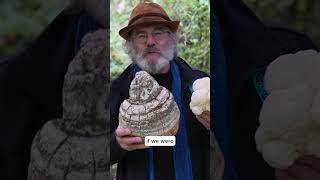 Paul on cryopreservation