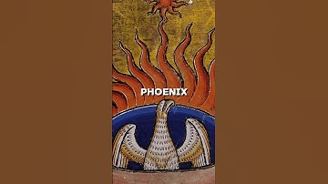 The Myth of the Phoenix