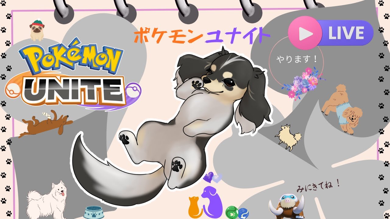 🐤買ってません【ポケモンユナイト】