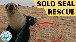 Solo Seal Rescue