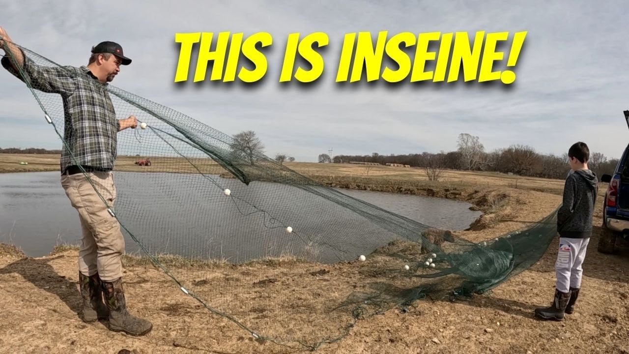 what-is-living-in-our-pond-youtube
