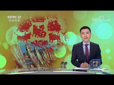 《中国三农报道》 20210208|CCTV农业