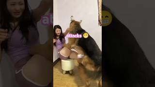 mom 3 dimensional attacks by son#funny_dog 😁